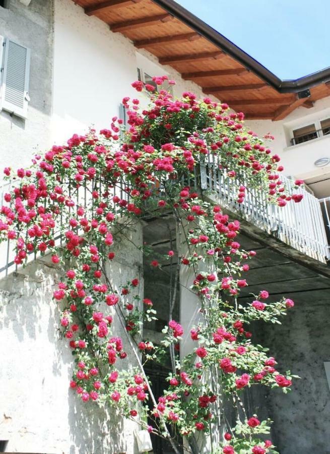"Il Cortile" Apartment コーリコ エクステリア 写真